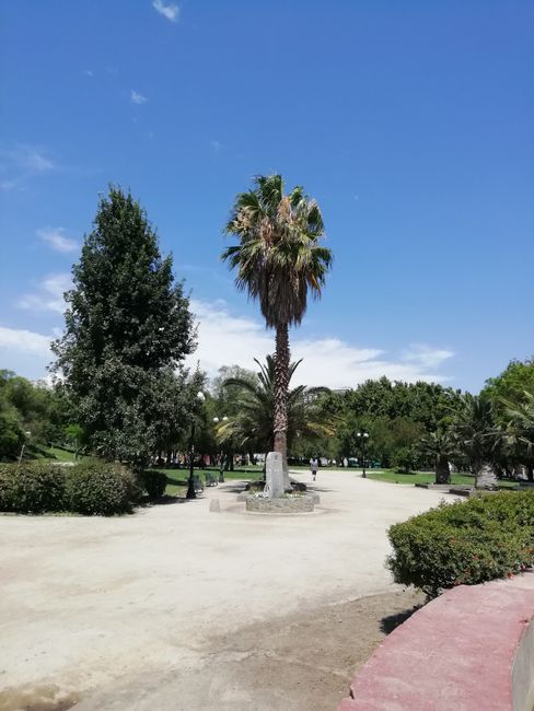 Día De Melón, Parque De Los Reyes