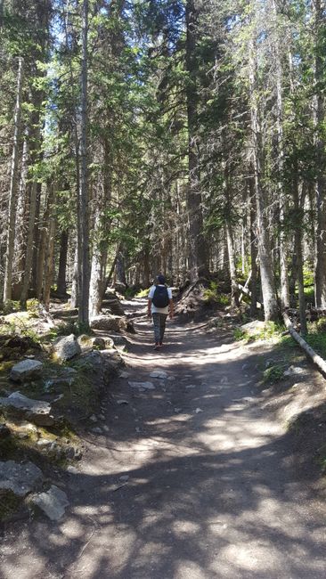 Banff - Lake Louise #part two