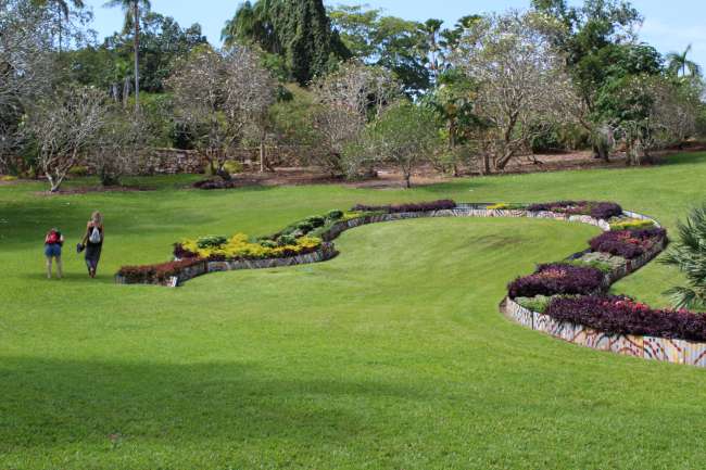 Botanischer Garten von Darwin