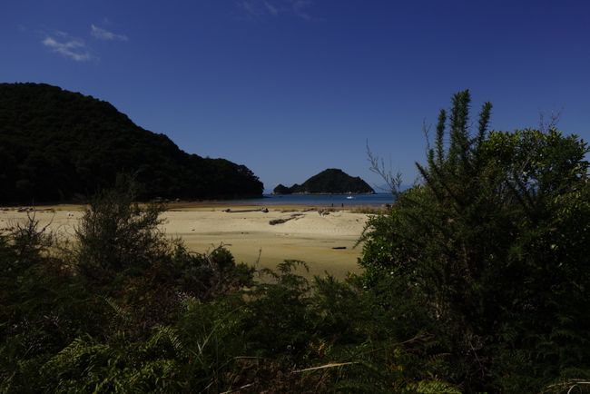 Strand vom Abel Tasman Track aufgenommen