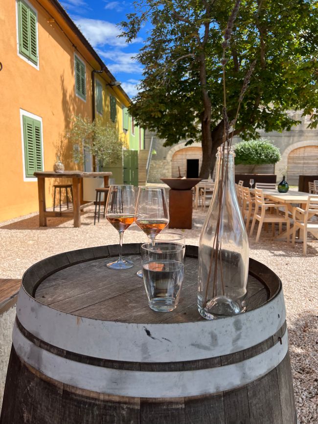 Wine & Oliveoil Tasting in Monterosso