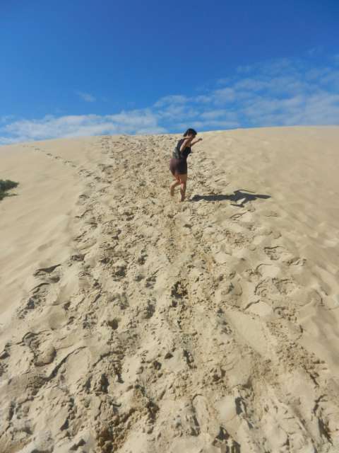 dunes in Myall Lakes National Park