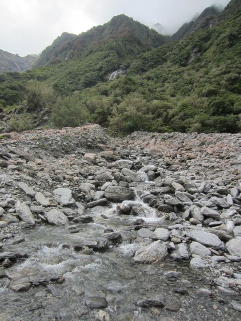 In the middle of nowhere: Fox Glacier or kiwis and fireflies