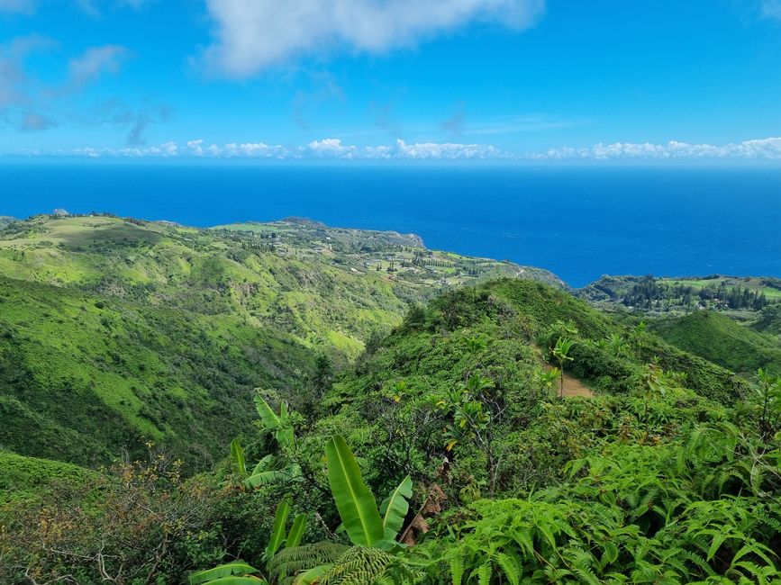 Hawaii 2022 - Part 3: Maui