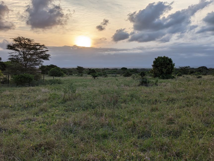 Hluhluwe-Nationalpark, iSimangaliso-Nationalpark und St. Lucia