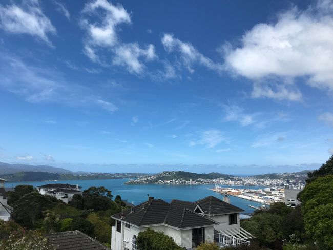 The special thing about Wellington