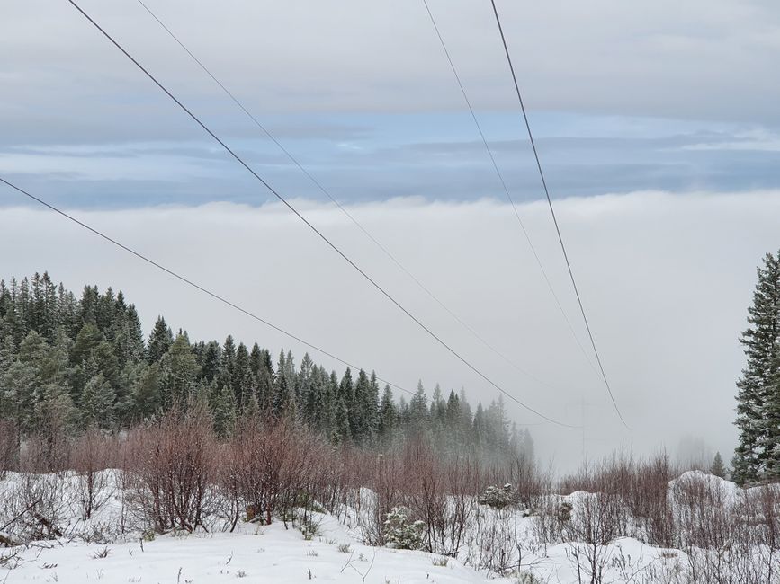 Stromleitungen im Nebel