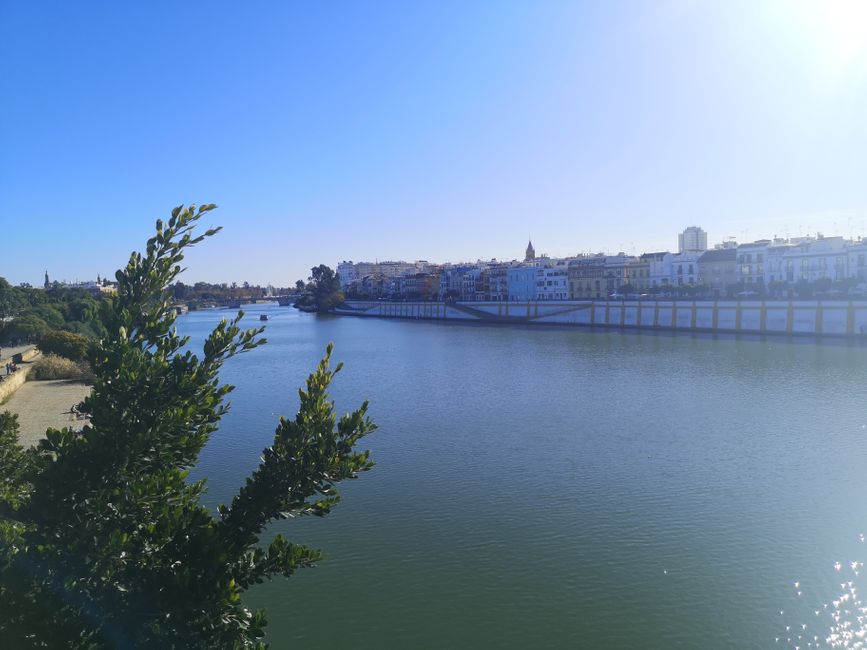 A Saturday in Seville