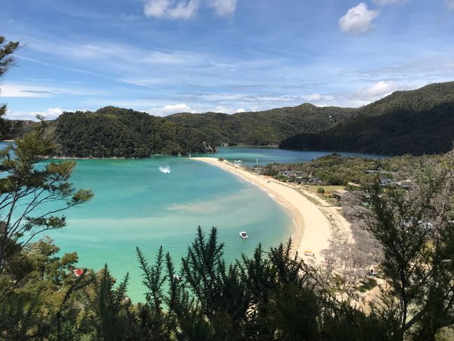 Abel Tasman Nationalpark - Weihnachten auf dem Meer und Halbzeit der Reise