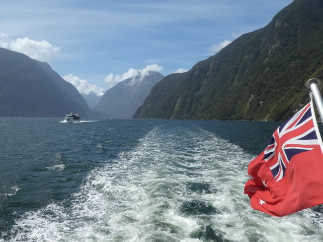Christmas Eve at Milford Sound