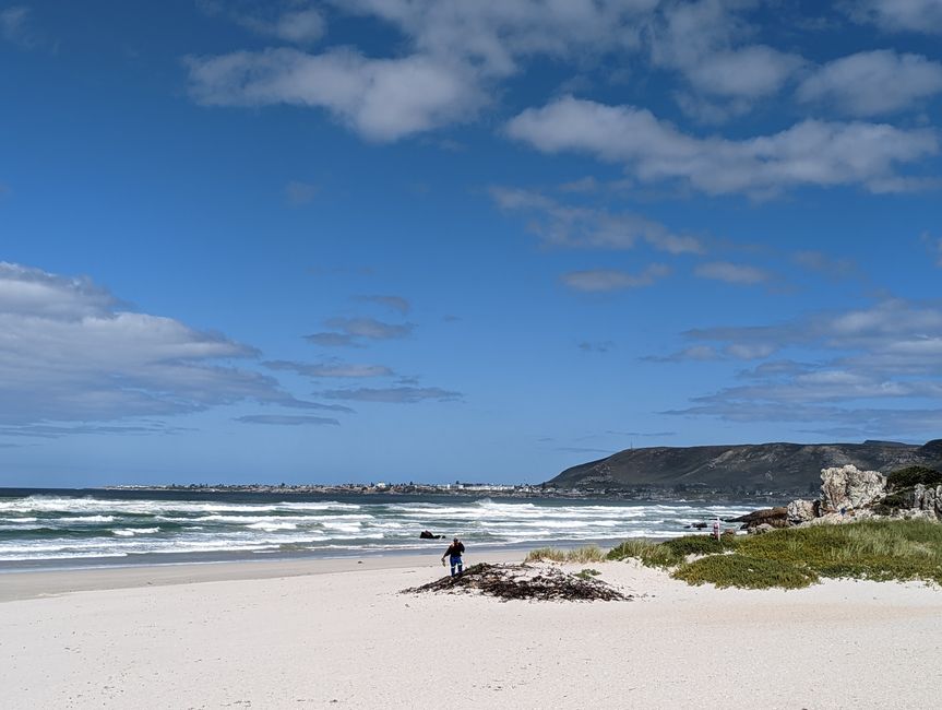 Hermanus / Cliff Path und die eigentliche "Walhauptstadt" Gansbaai
