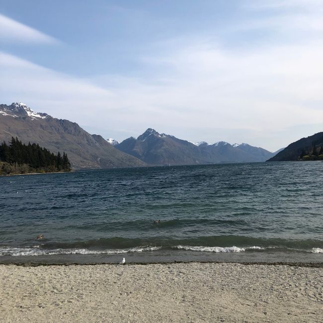 Tag 4: Auckland - Queenstown