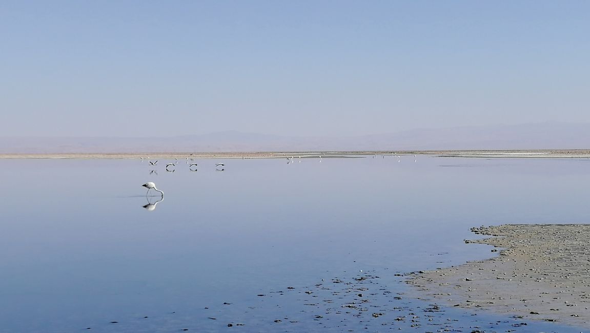 Nalabaga nga bato - San Pedro de Atacama - Chile