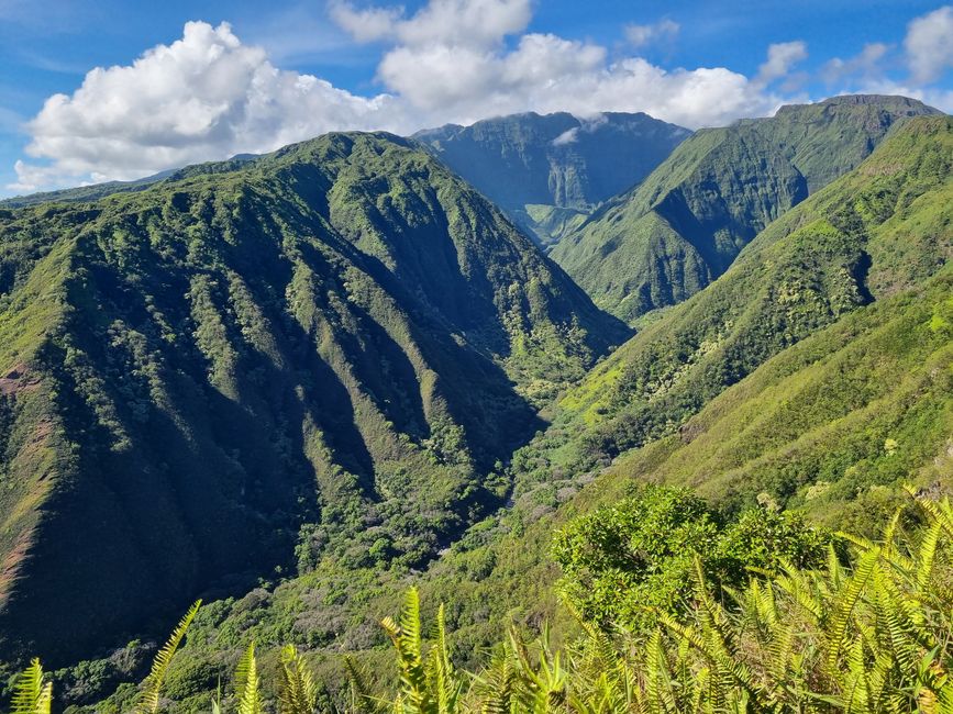 Hawaii 2022 - Part 3: Maui