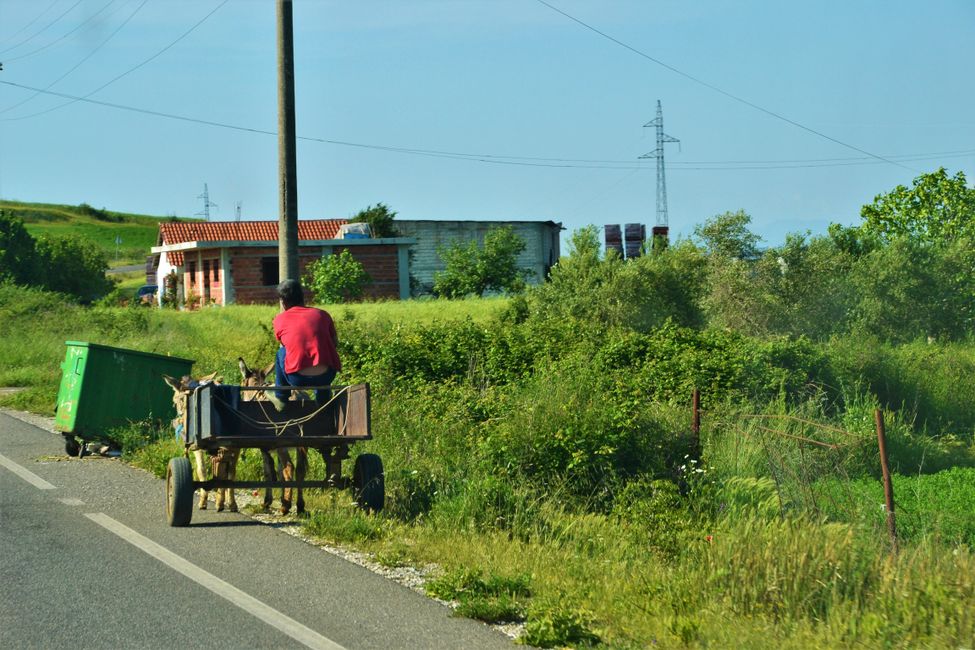 Donkey carts are also found in traffic, of course.