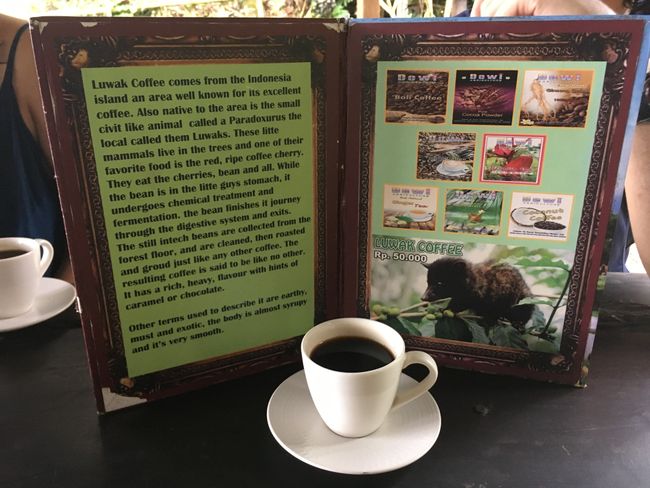 The 'producer' of Luwak coffee