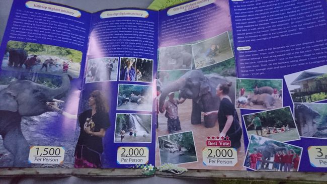 Nach Empfehlung geht auf die Chiang Mai Elephants Sanctuary