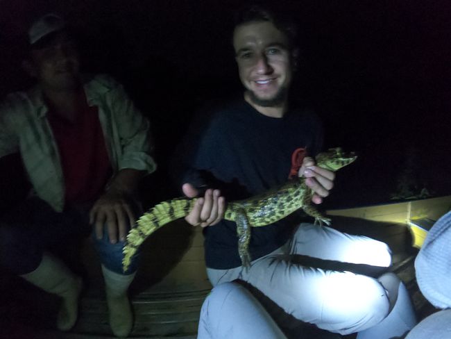 Night tour to see the caimans