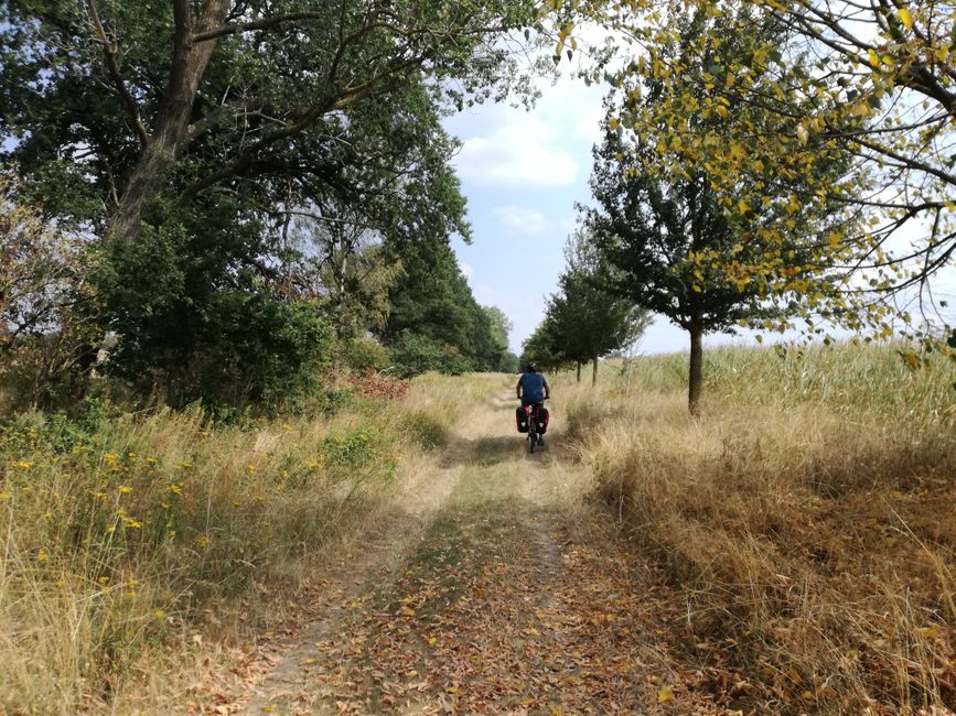Caminos I