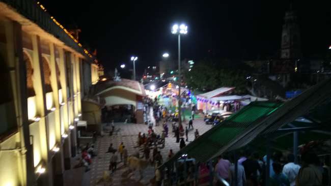 Udaipur + Pushkar