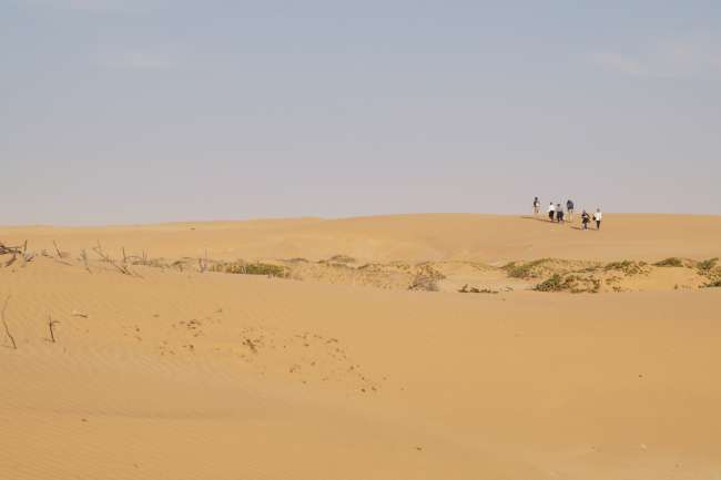 Ausflug in die Wüste