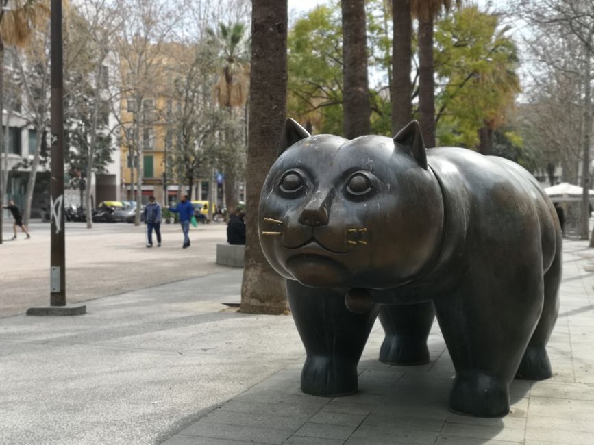 el gordo y amigable gato del vecindario