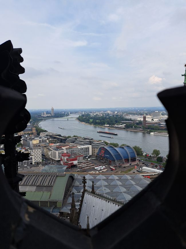 View from the Cathedral Tower on the Rhine