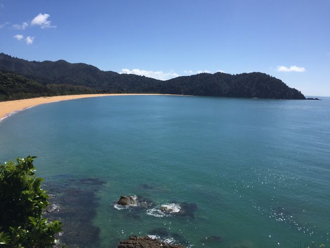 Aventura Great Walk - A caminata costiera di Abel Tasman