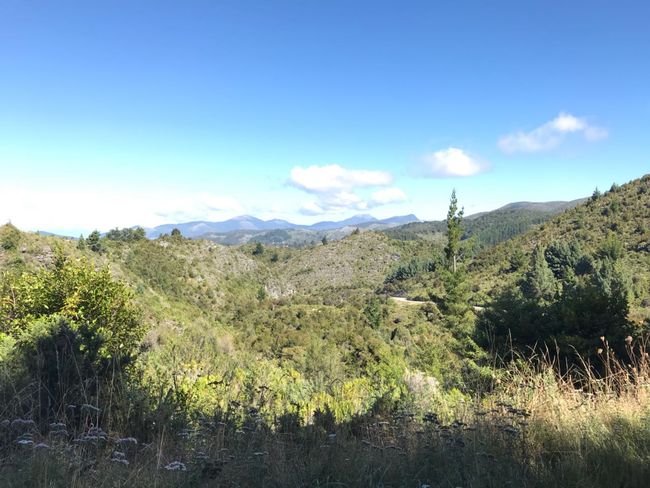 Blog 12: Abel Tasman National Park
