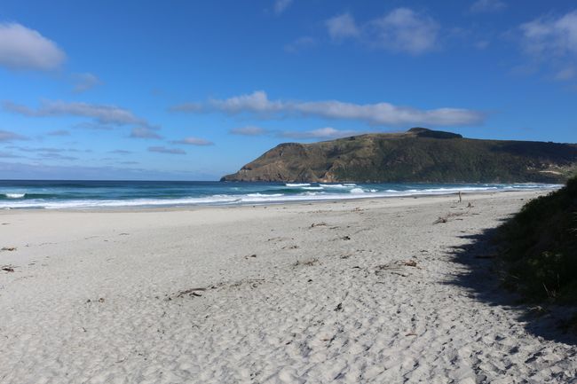 Ein kultureller Ausflug nach Dunedin und ein natuerliches Abenteuer vor Oamaru