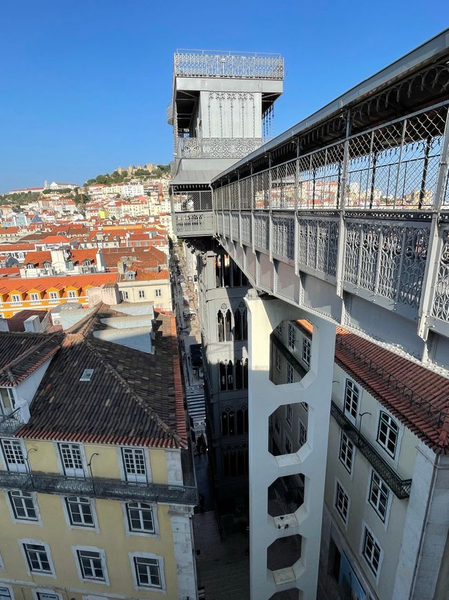 Lisbon•Portugal🇵🇹