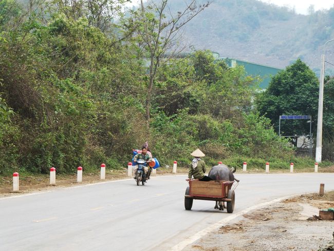 North Loop, Vietnam (first part)