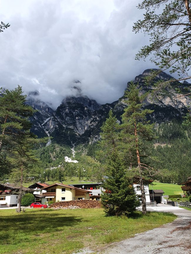 Hiking in Gschnitztal, wildflowers in Schmirntal