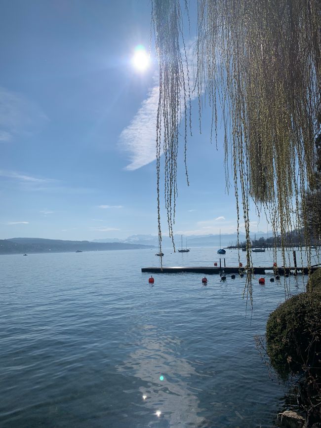 Der wunderschöne Zürichsee