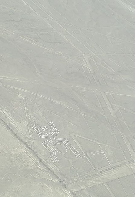 Methaladi ya Nazca