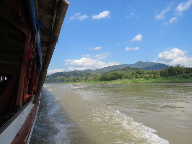Natur am Mekong