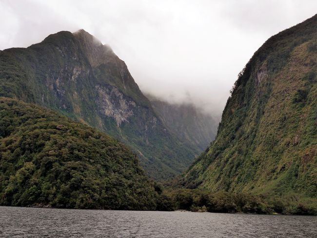 Doubtful Sound (New Zealand Part 33)