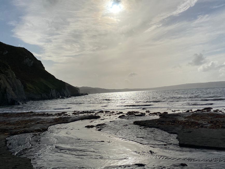 Robben am Coastal Path Pembrokeshire