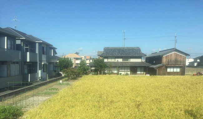 In Japan wird jeder Quadratmeter zwischen den Häusern bepflanzt.