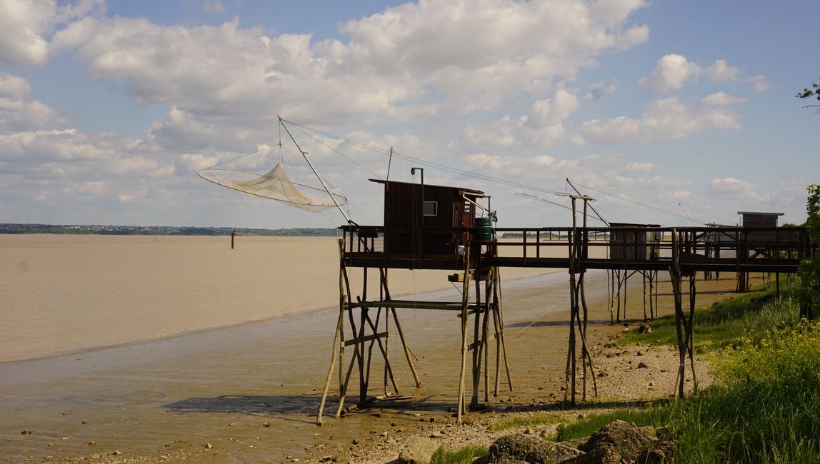 The Gironde and the fishing huts - Suitable for tides