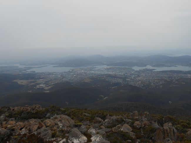 Blick auf Hobart vom Mt. Wellington 