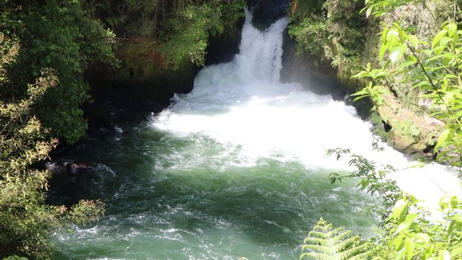 Day 11 Okere Falls & drive to Te Kaha
