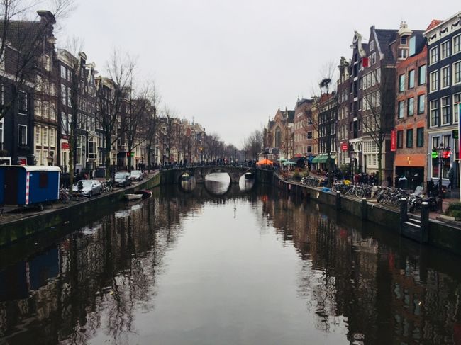 5 days Amsterdam Study Trip