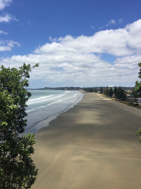Family time Part 2 and the North Island of New Zealand