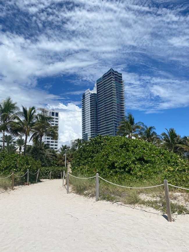 Miami Beach 🏖