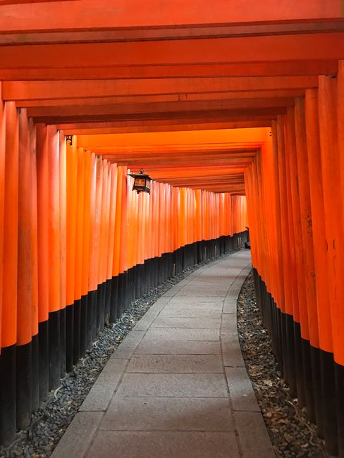 Der stimmungsvolle Fushimi-Inari-Taisha Schrein