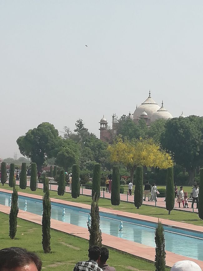 I-Agra