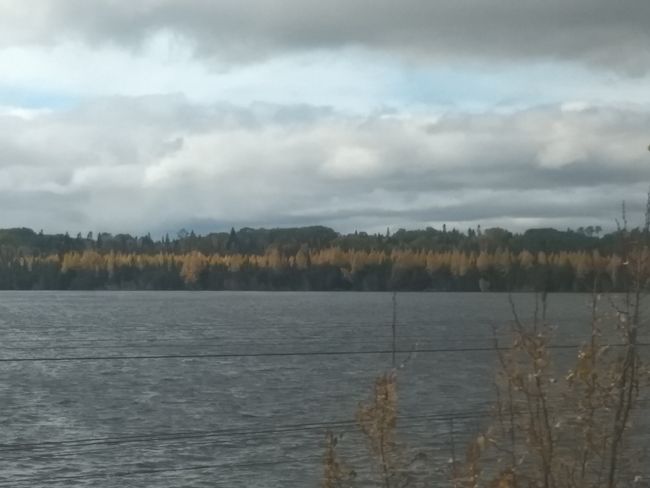 Die Seenlandschaft in Ontario