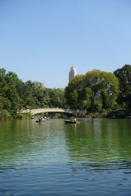 Teich im Central Park