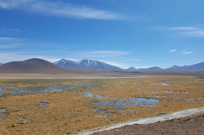 San Pedro de Atacama - Tag 2